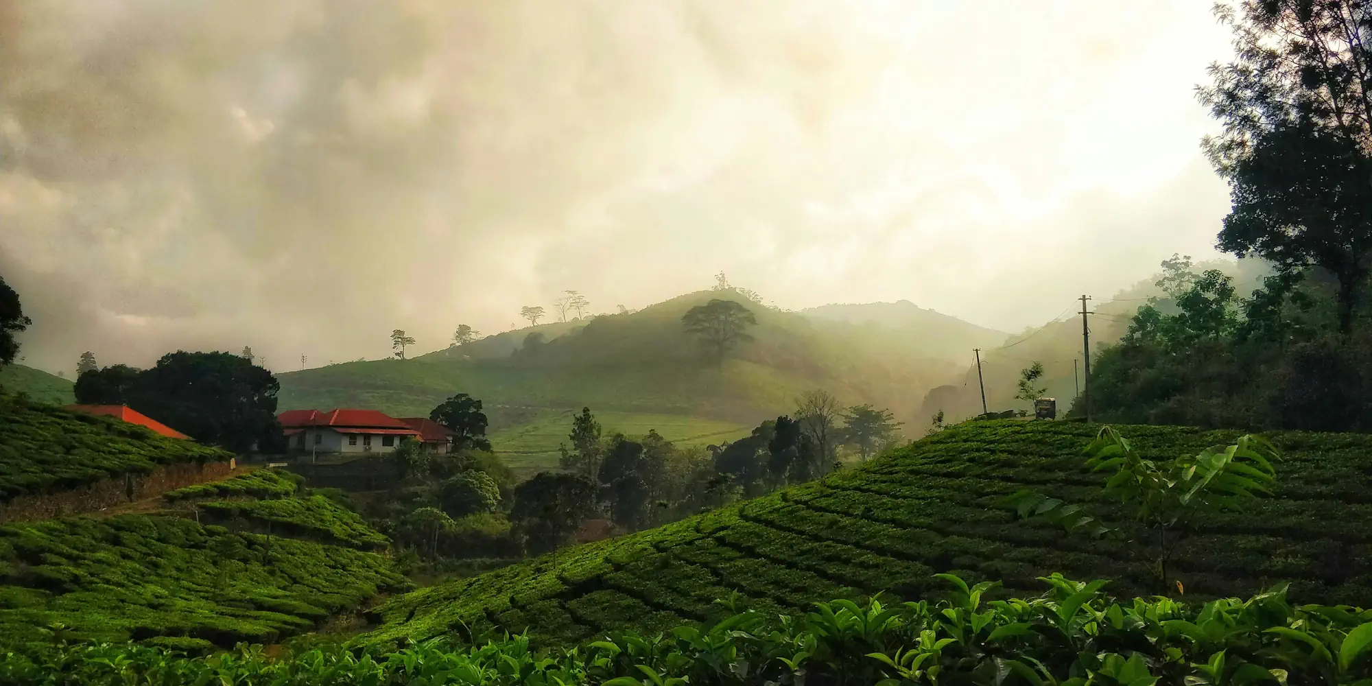 Eindrucksvolles Kerala Rundreise Rundreise Kerala Indien Ayuboa 4 Tage